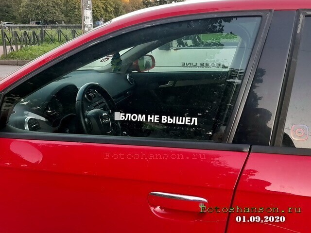 Автовсячина