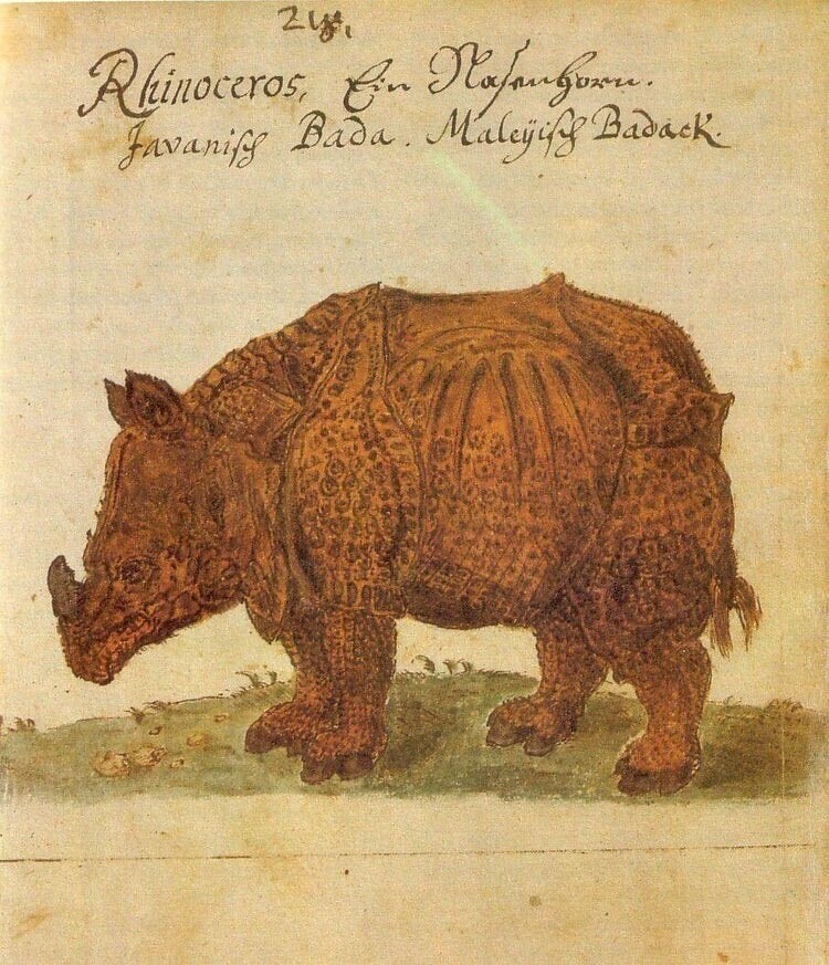 5. Носорог