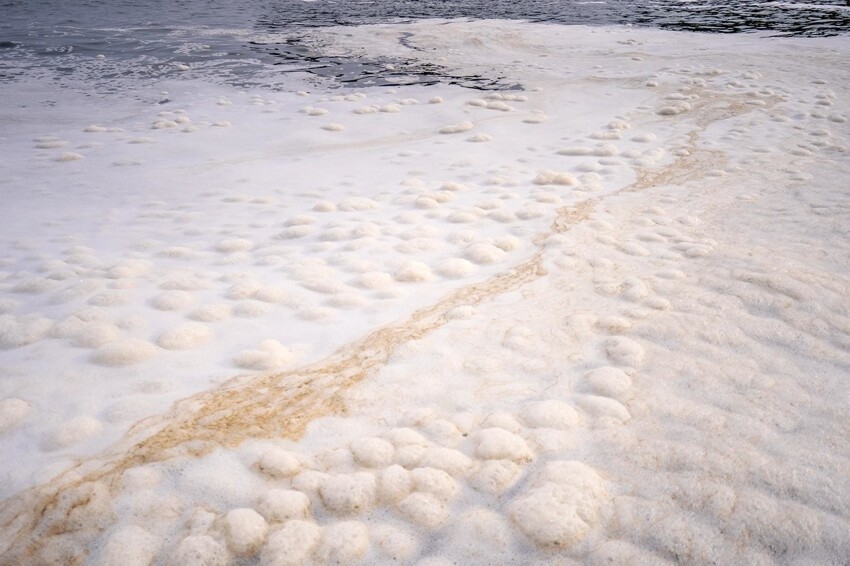 На Камчатке в Тихом океане обнаружили 40-километровое пятно 