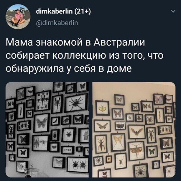 Прикольные и смешные картинки