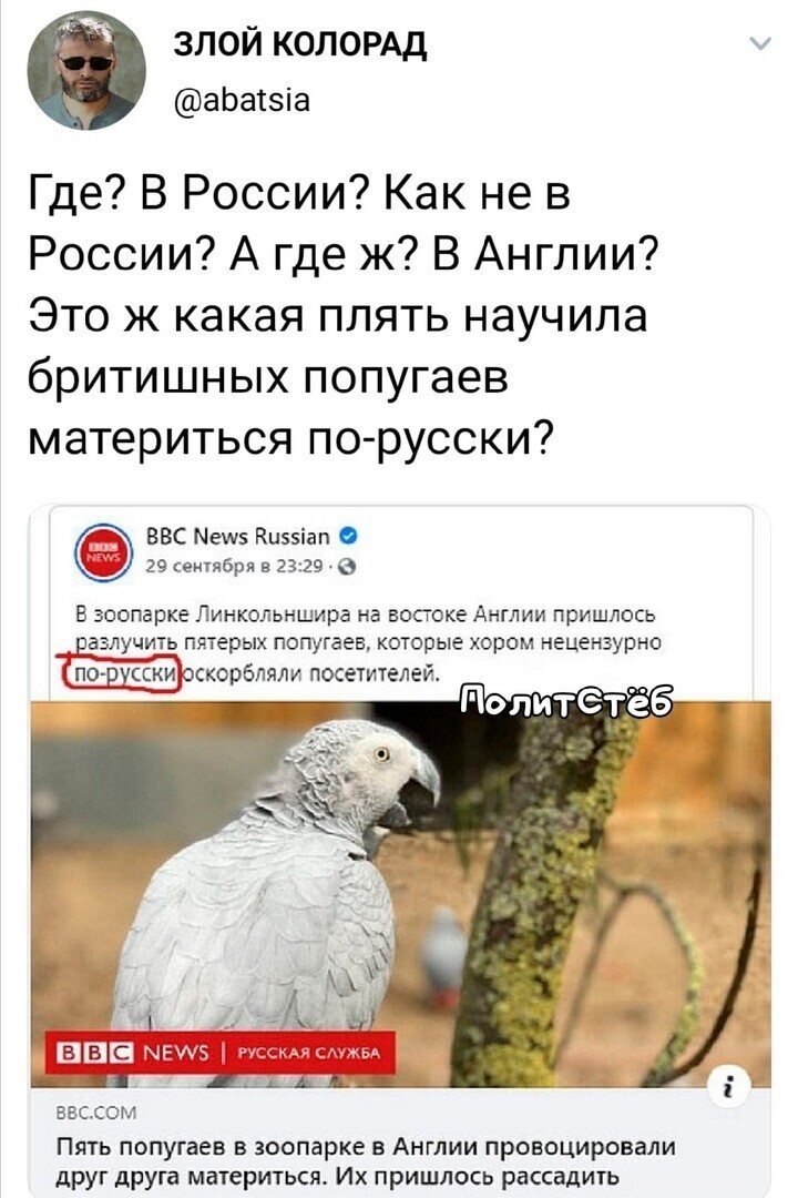 Хотя в реальной новости - ни слово про русский язык.