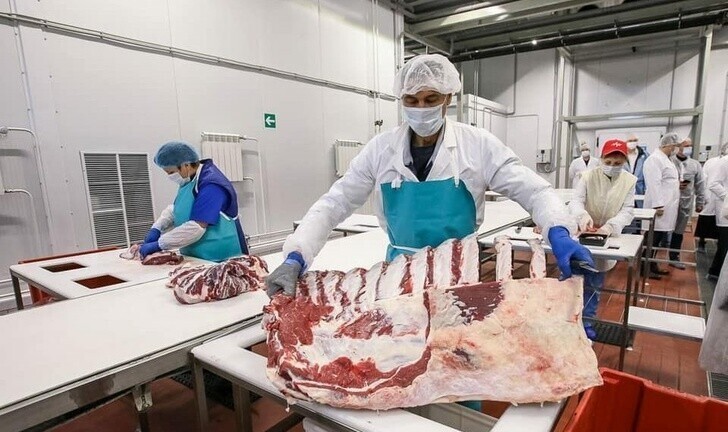 Новый мясокомбинат запустили в Ульяновской области