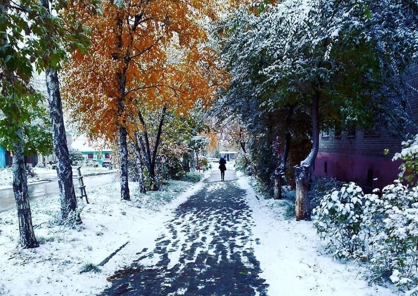 Толстого 1 снег. Первый снег в городе. Первый снег Бердск. Город припорошен снегом. Первый снег в Новосибирске.