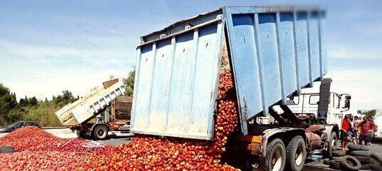 Шел седьмой год санкций. Поляки продолжают есть свои яблоки.