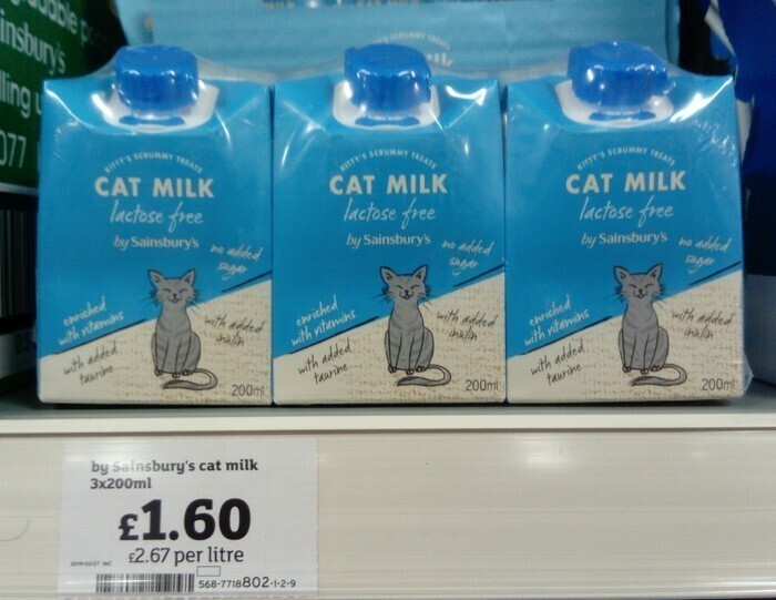 Оказывается кормить кошек молоком - это НЕ нормально
