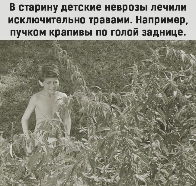 Политические комментарии из инета