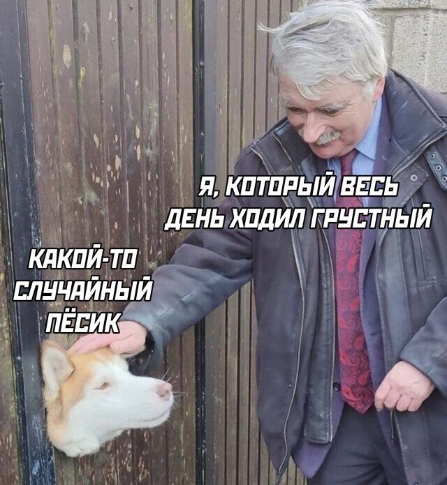 Намешалось