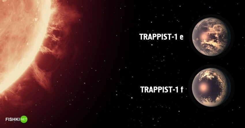 Звезда TRAPPIST-1