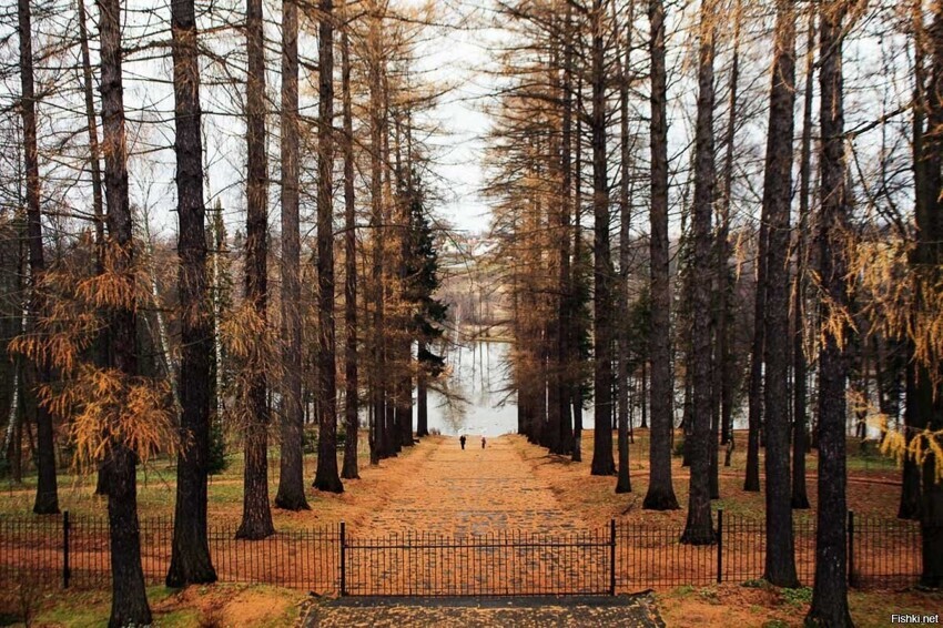 Усадьба Середниково, Подмосковье