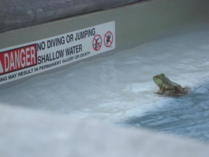 "Нырять и прыгать запрещено. Мелководье"