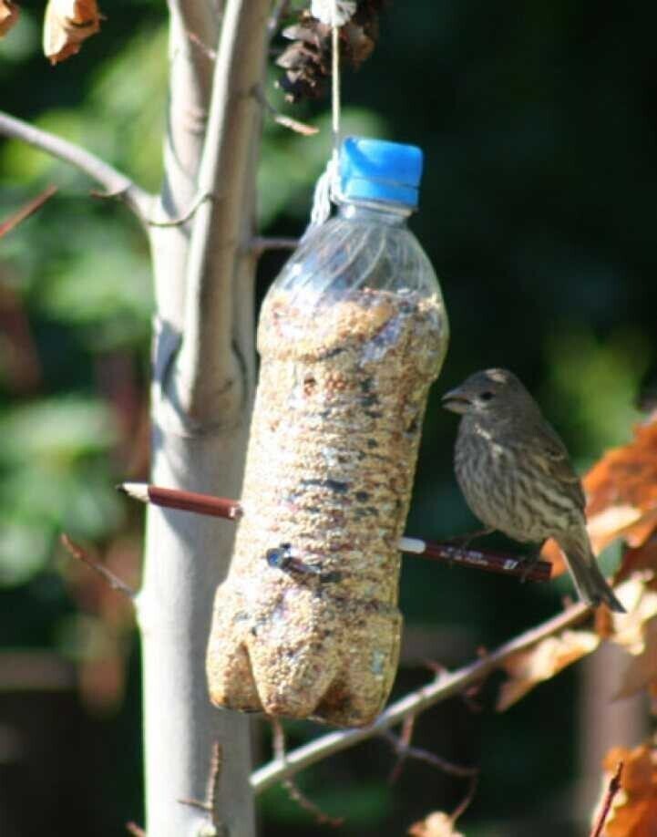 Кормушка из бутылки