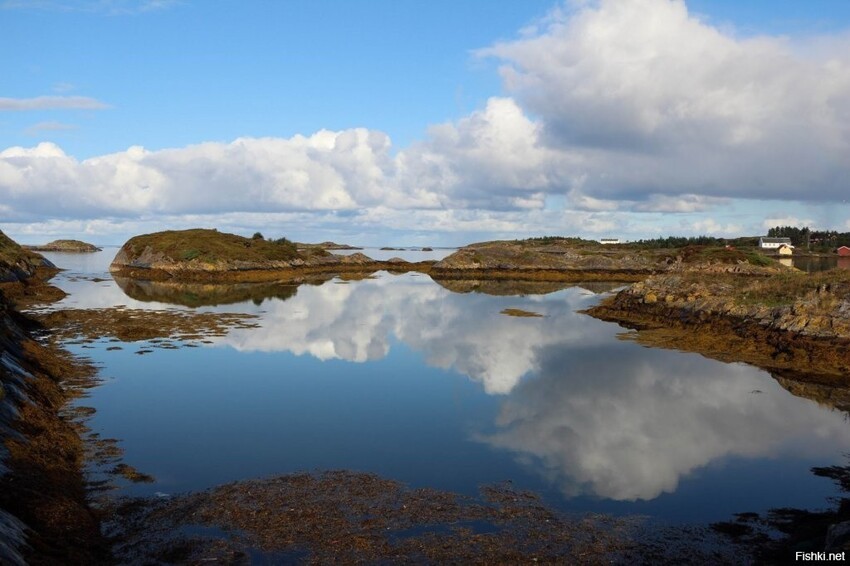 Доброе утро