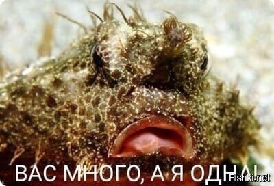 Живет на дне мирового океана одна очень необычная рыба