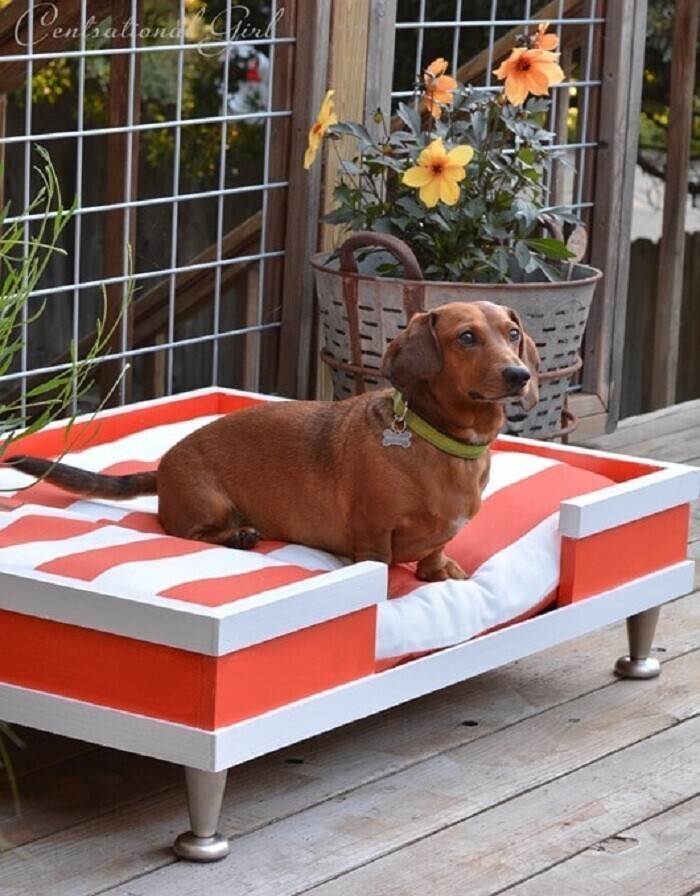Лежак-кровать для собаки