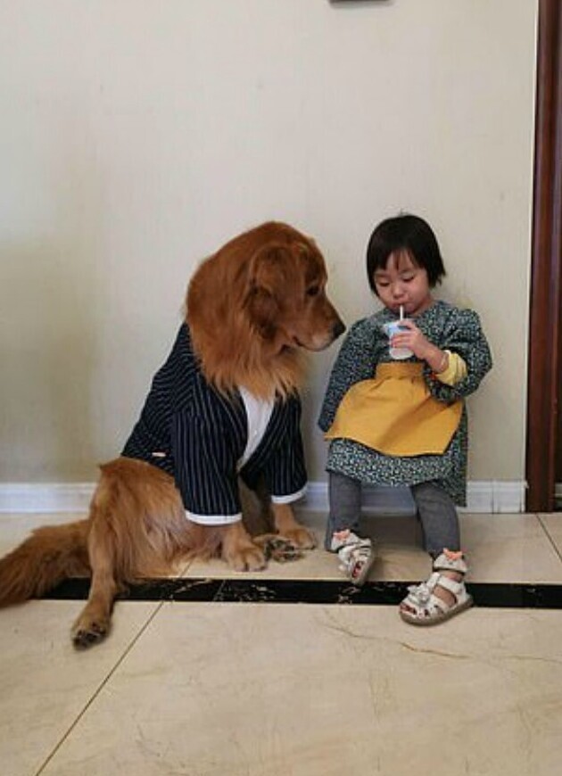 "Я тебя спасу": собака защищает девочку от маминой ругани