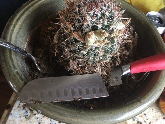 Муж решил использовать мой любимый нож как садовый инструмент