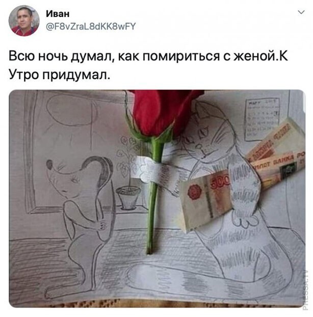 Прикольные и смешные картинки