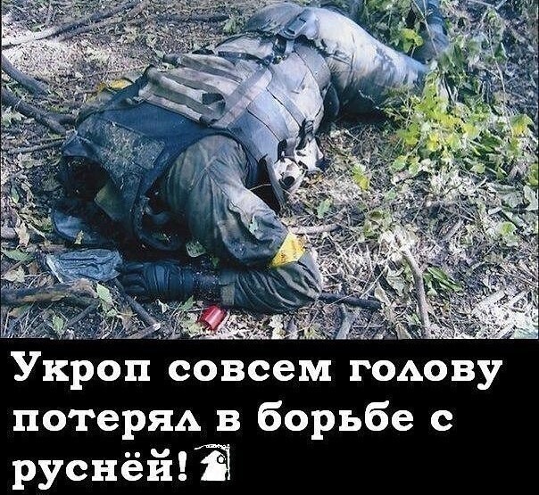 Политические комментарии из инета