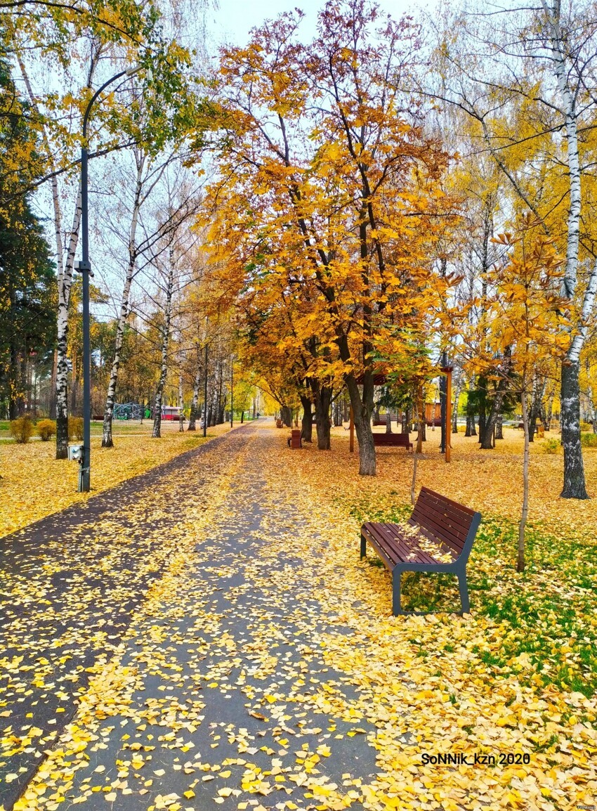 На прогулке - городской парк Урицкого