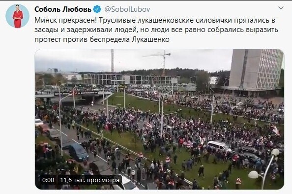 А животное рада до усрачки