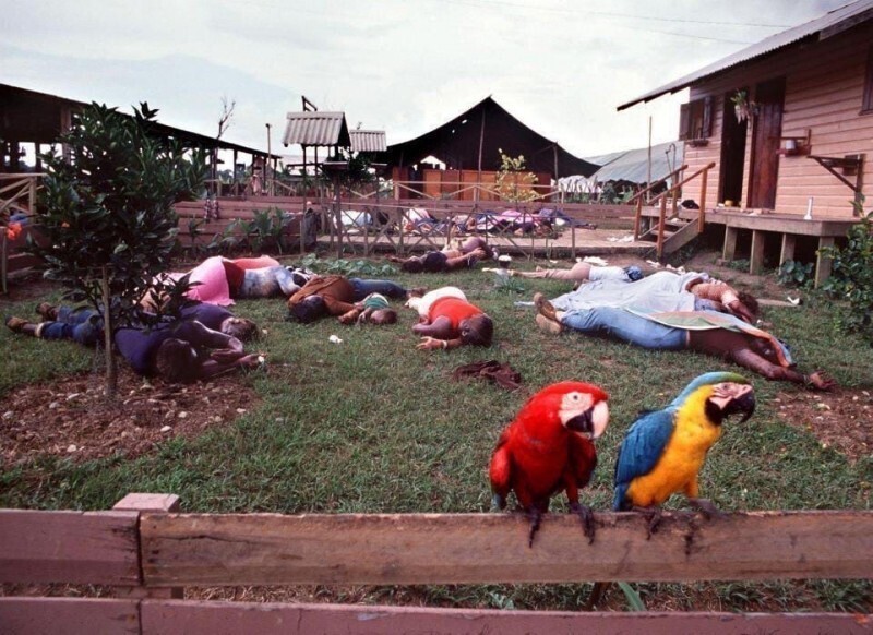 Два попугая сидят на заборе Джонстауна, идейной общины религиозной организации "Храм народов", где более 900 членов этой секты покончили жизнь самоубийством, 1978 год.