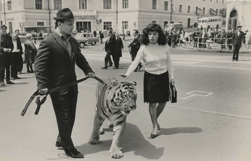 Вальтер и Марица Запашные с тигром по кличке Тайфун. Владивосток, 1 июля 1968 года.