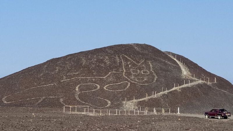Гигантское изображение кота нашли рядом с пустыней Наска в Перу
