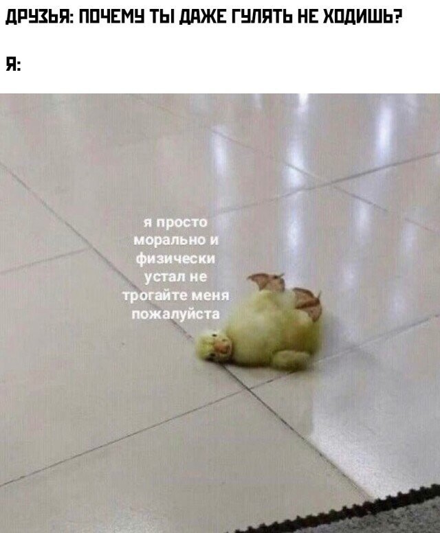 Всё вразнобой