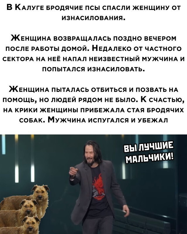 Всё вразнобой