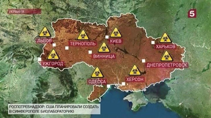 В России задумались об опасности появления «патогенных биологических агентов»