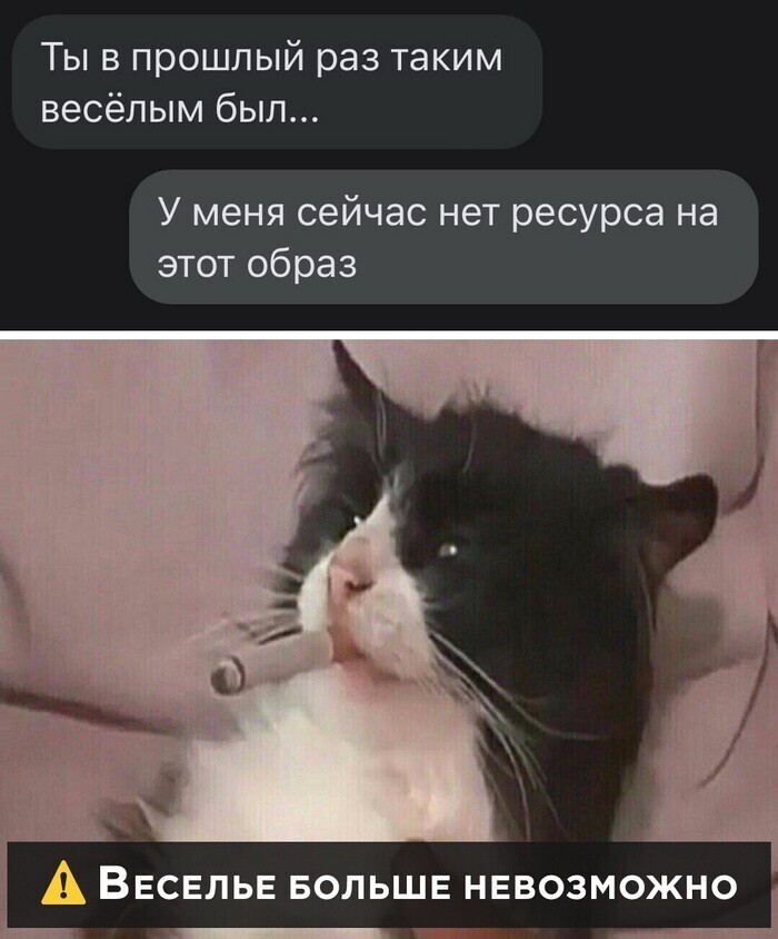 Скрины из социальных сетей