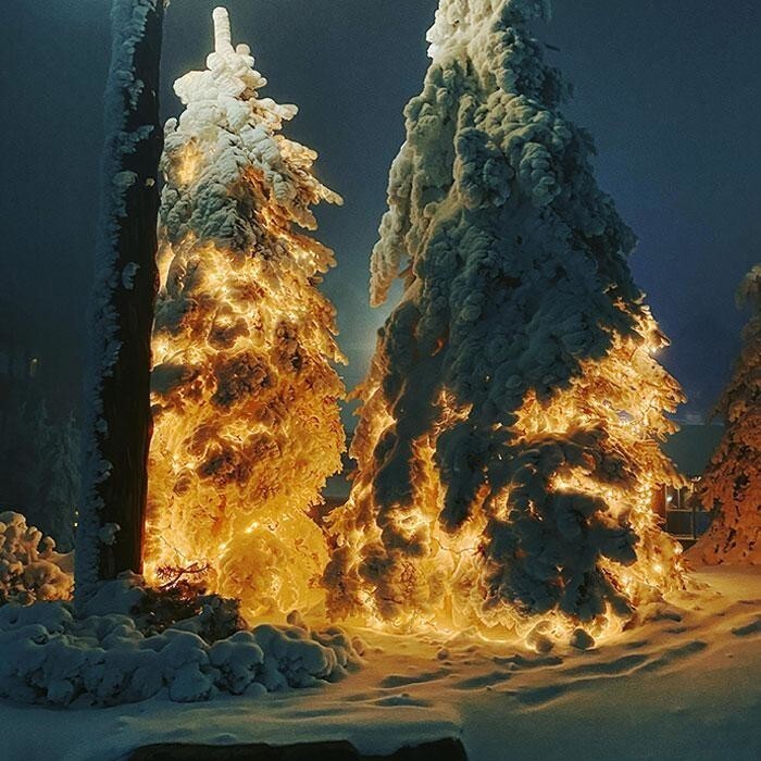 8. Заснеженные деревья, подсвеченные рождественскими огнями, напоминают запуск ракеты