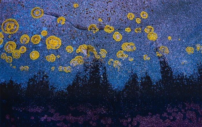4. Узор на камнях, найденных в Швеции, напоминает «Звездную ночь» Ван Гога