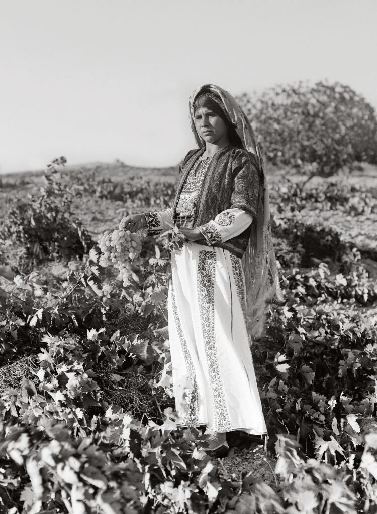 Крестьянская девушка держит гроздь винограда в районе Эйн - Ябруда . 1937
