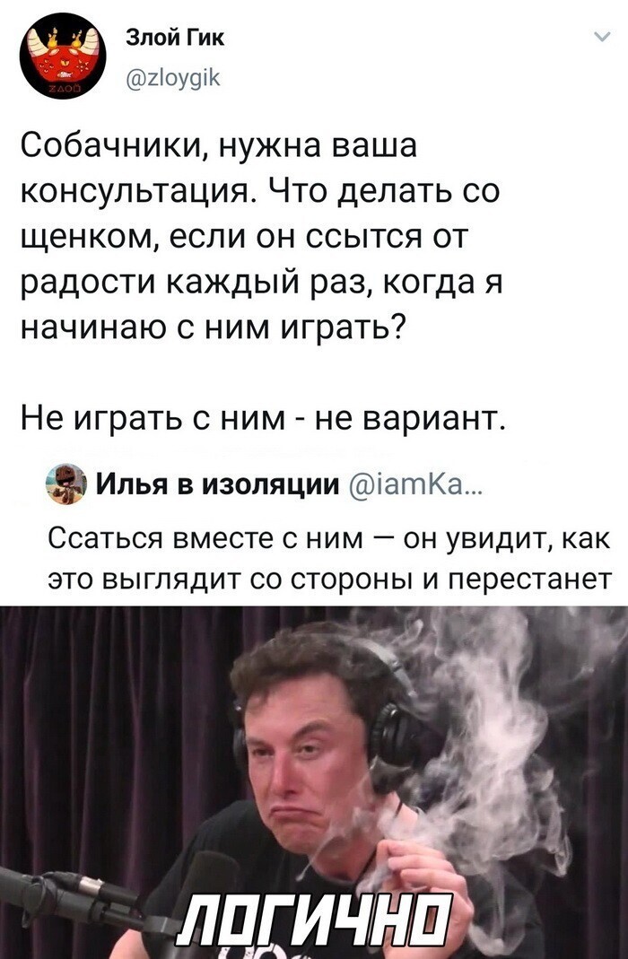 Скрины из социальных сетей