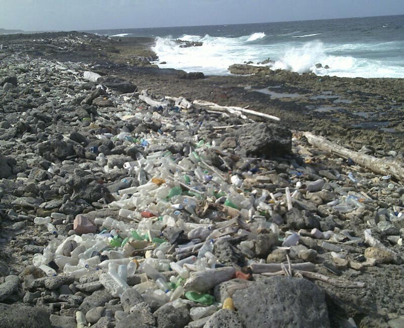 Чтобы уменьшить загрязнение окружающей среды, Канада запрещает одноразовый пластик