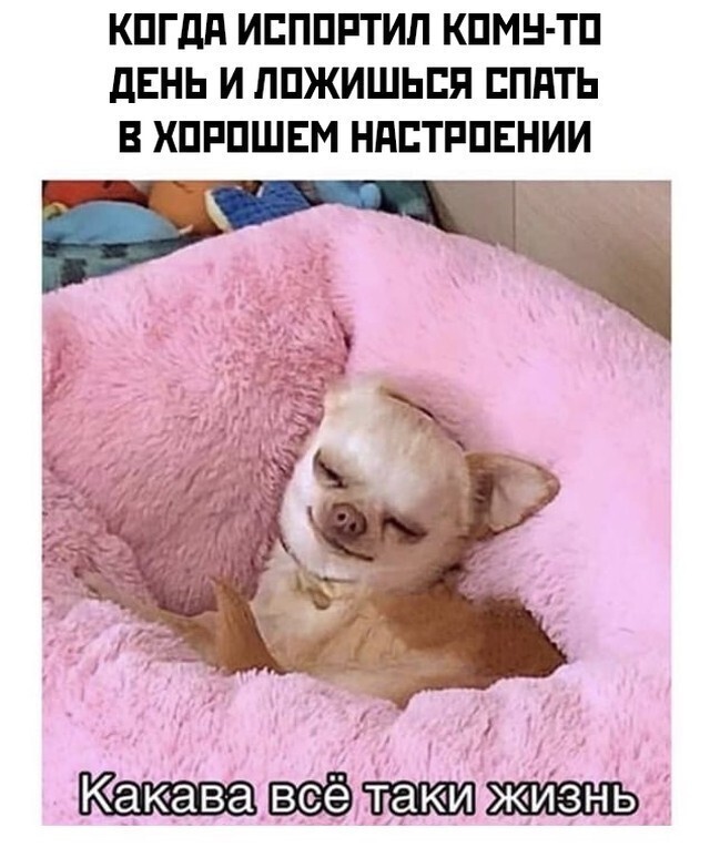 Намешалось