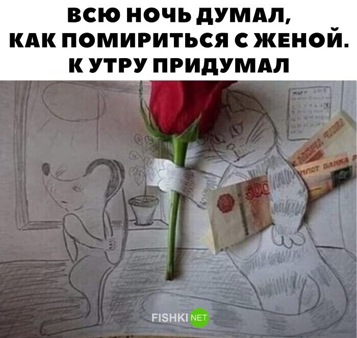 Скрины из социальных сетей