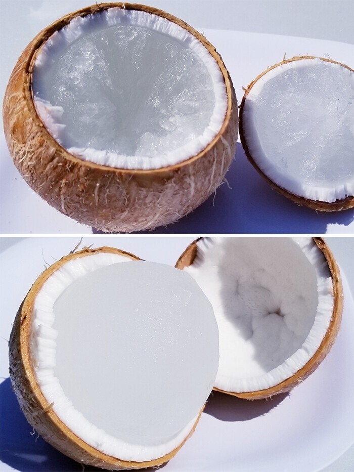 6. Что произойдет, если оставить кокос в морозилке