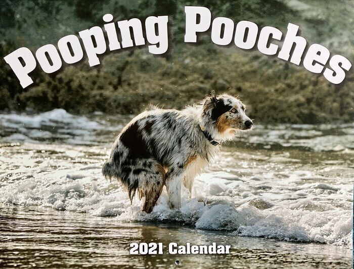 Юмор не для всех: календарь на 2021 год с какающими собаками