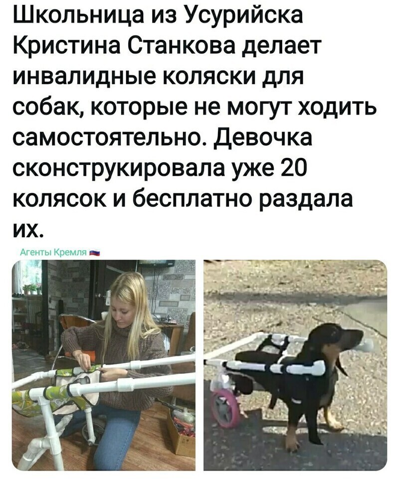 Политические комментарии из инета