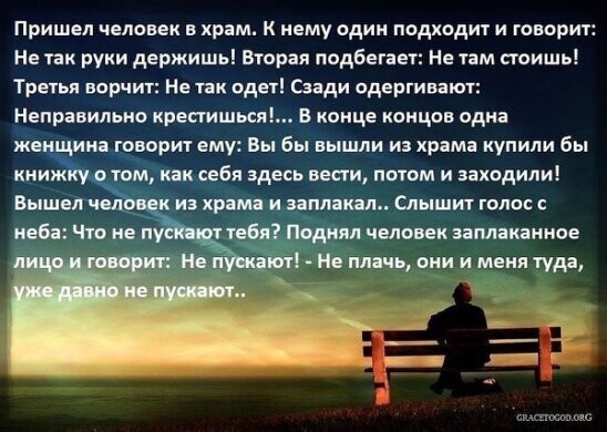 Политические комментарии из инета