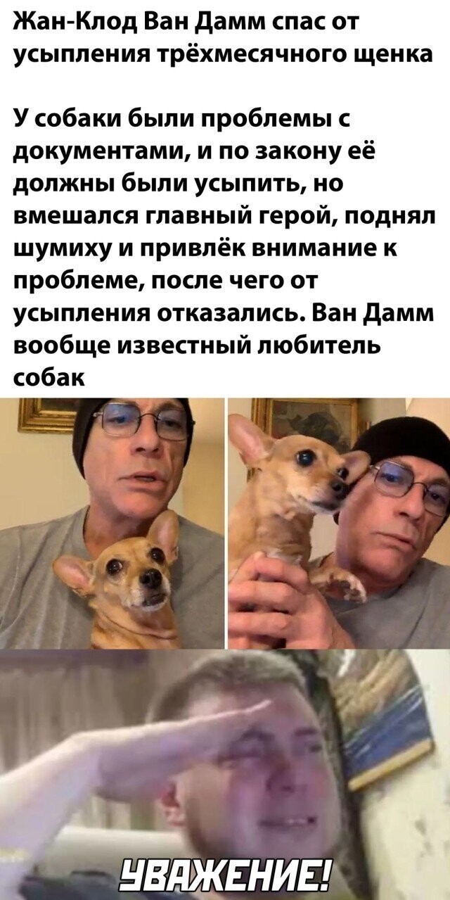 Намешалось