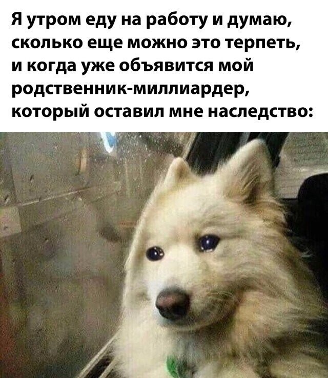 Намешалось