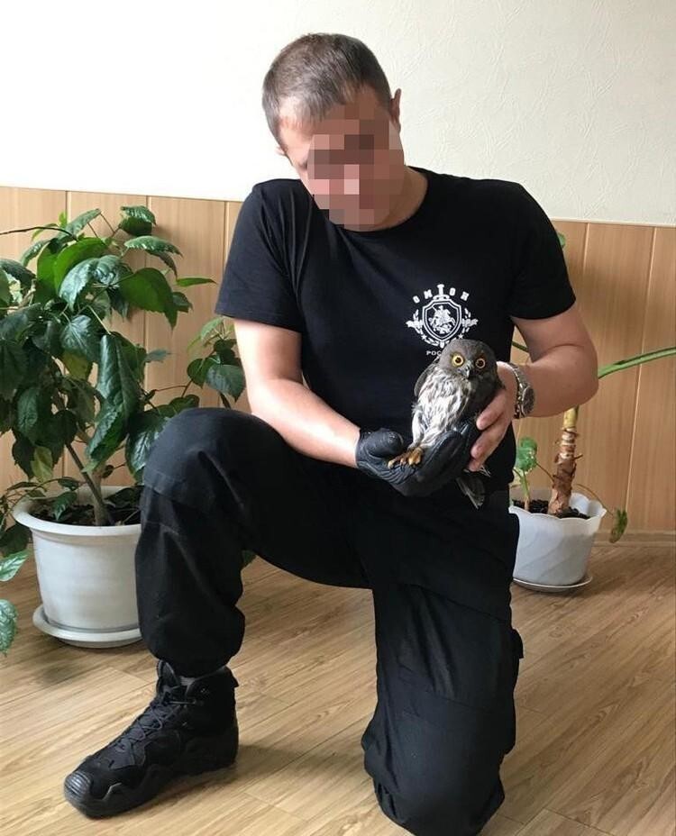 Перепуганное чудо: беззащитного маленького совенка от стаи сорок спасли сотрудники ОМОНа в Хабаровске