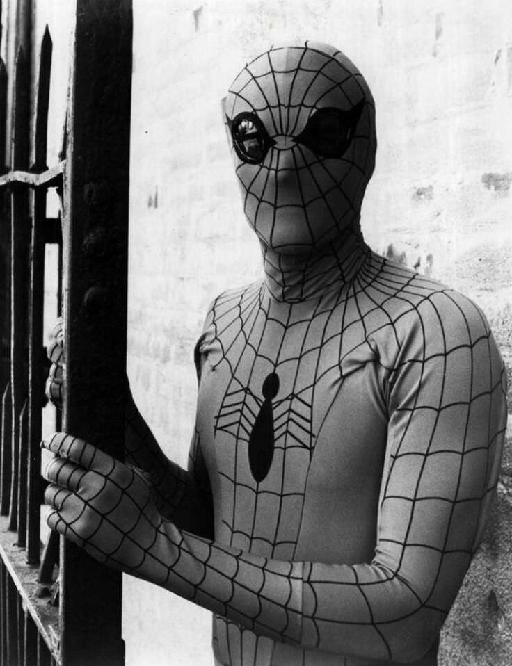 Человек-паук, 1977 год