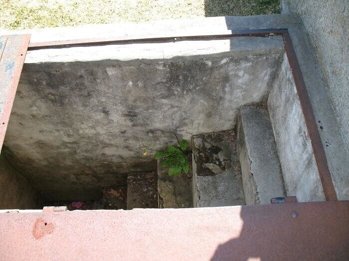 Мать встроила в могилу дочери лестницу, чтобы навещать ее во время грозы