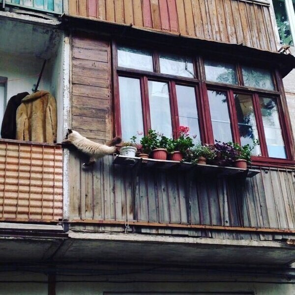 Перебраться с одного балкона на другой очень просто