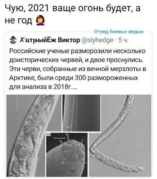 Политические комментарии из инета