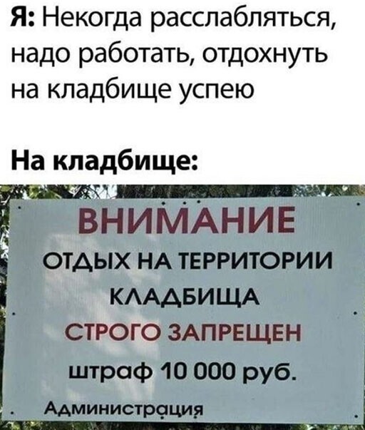 Прикольные и смешные картинки